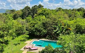 Into The Wild Sigiriya