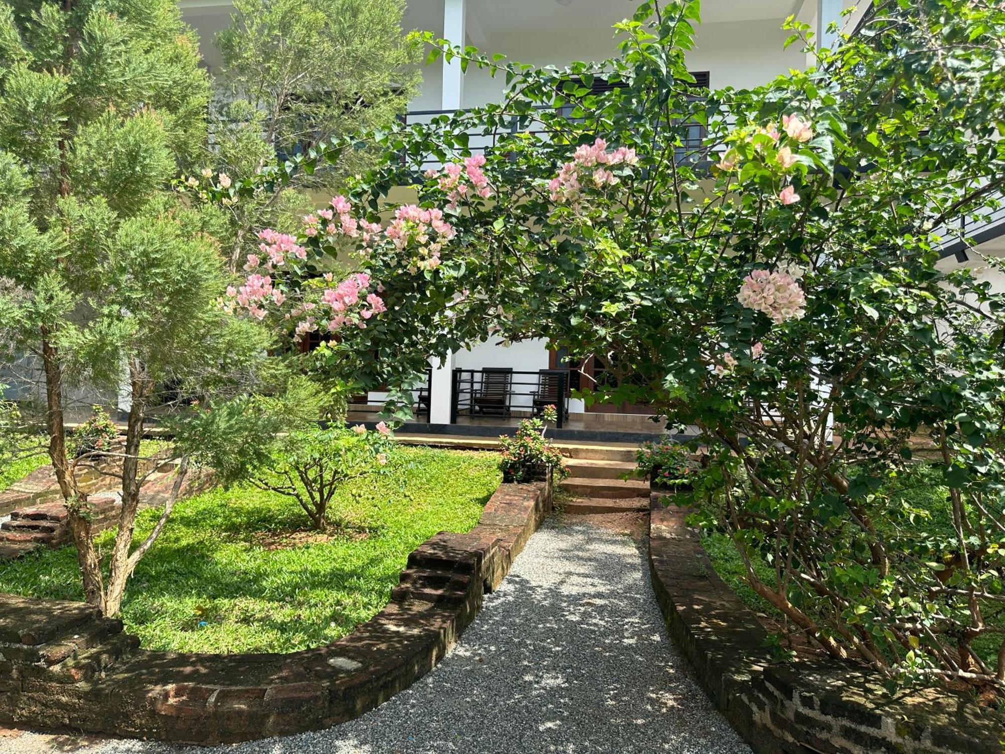 Into The Wild Sigiriya Hotel Exterior photo