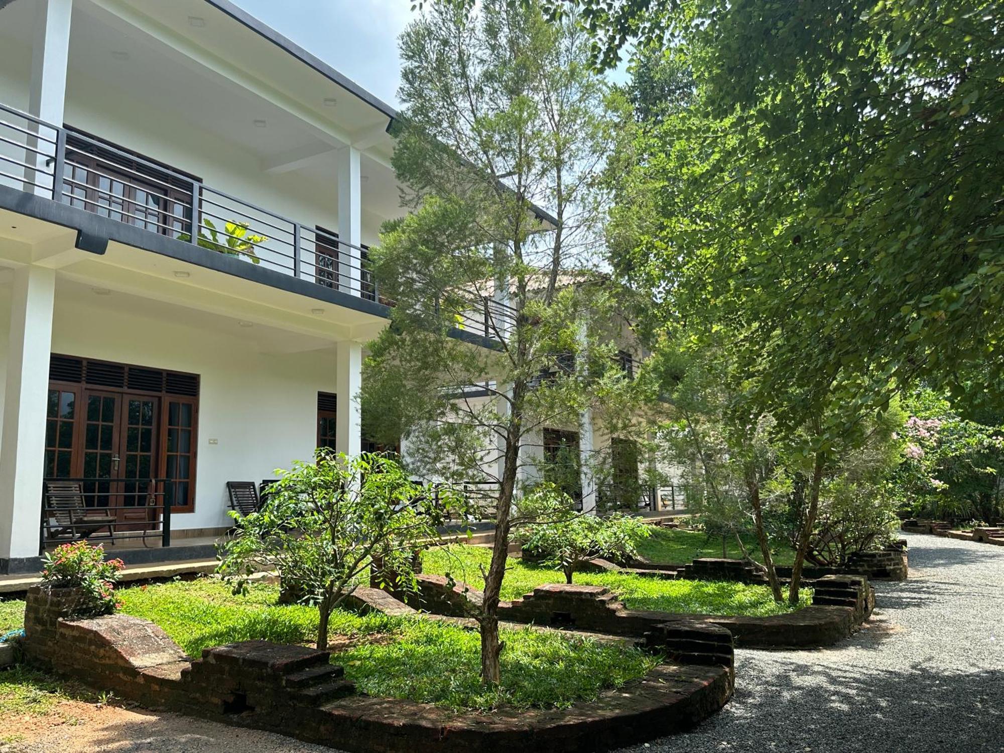Into The Wild Sigiriya Hotel Exterior photo