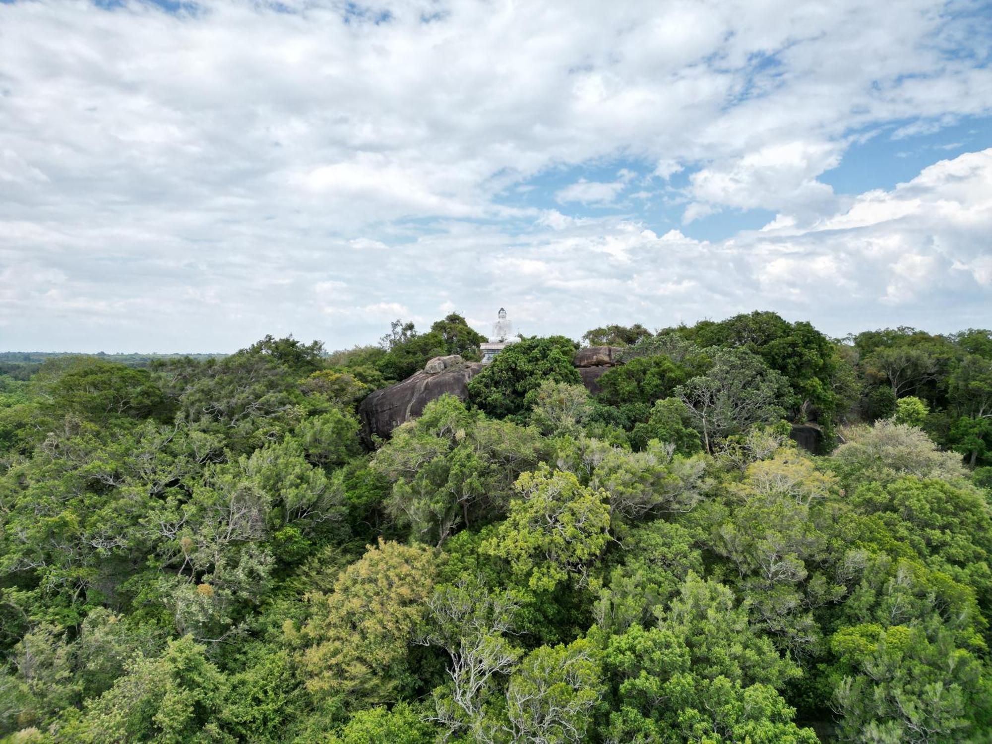 Into The Wild Sigiriya Hotel Exterior photo