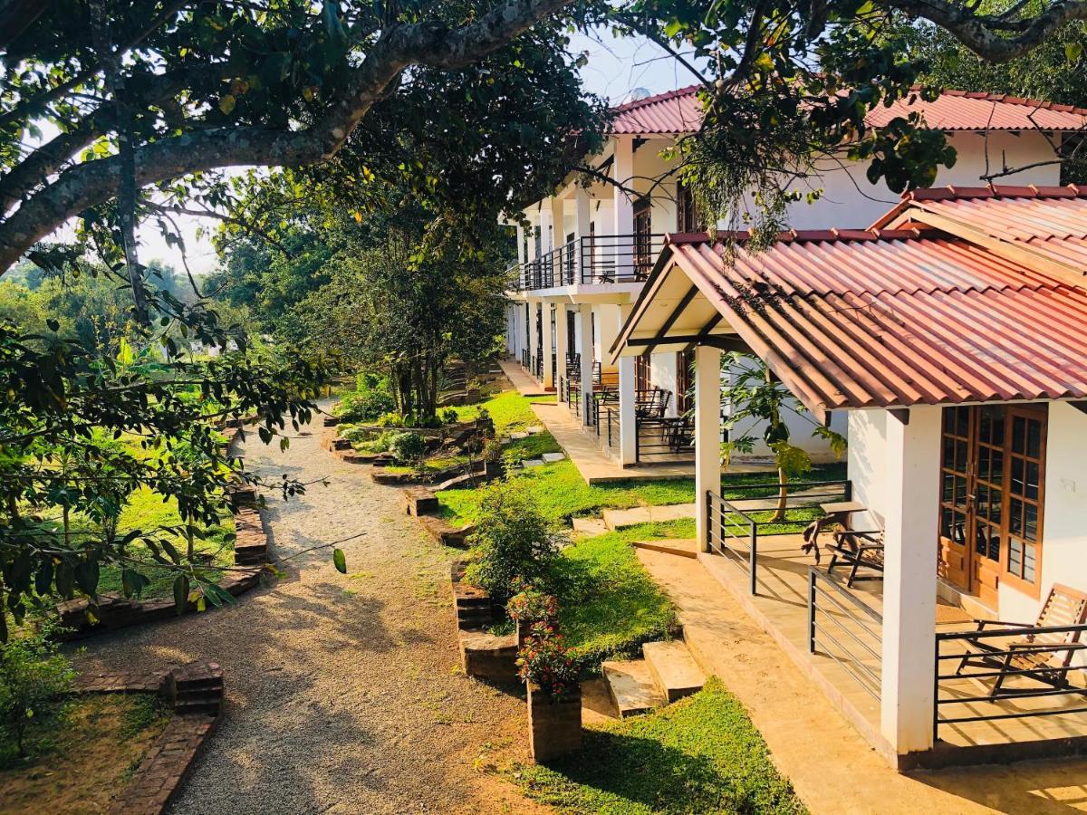 Into The Wild Sigiriya Hotel Exterior photo