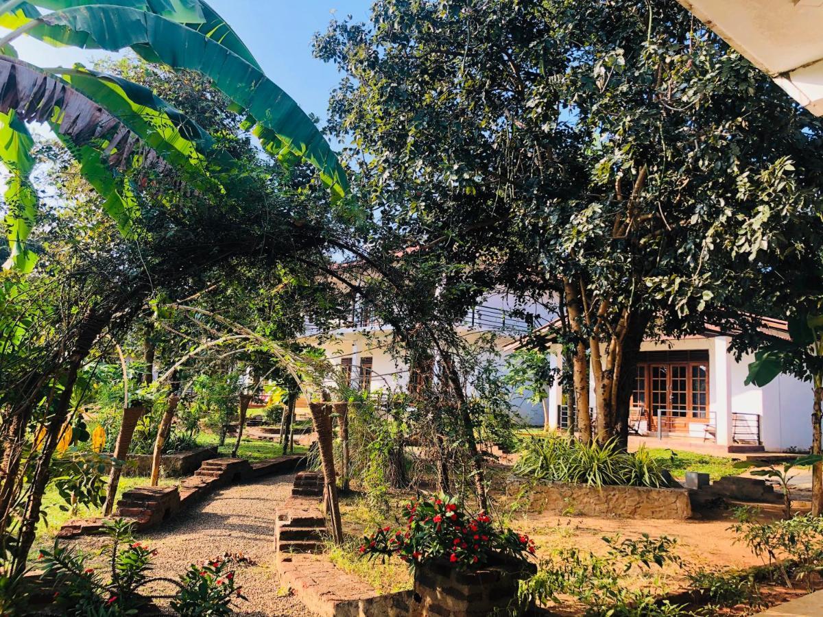 Into The Wild Sigiriya Hotel Exterior photo